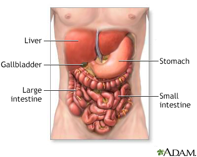 small bowel resection